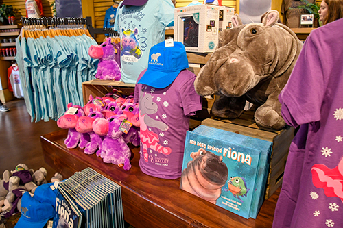 Fiona stuffed animals, books, t shirts, and hats for sale in a zoo gift shop